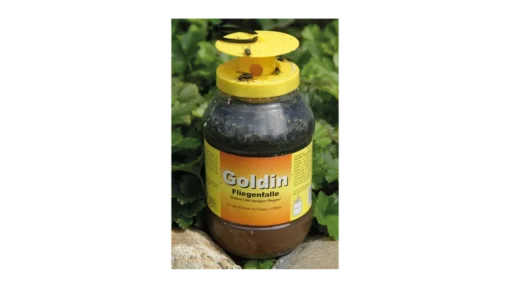 Goldin Fliegenfalle