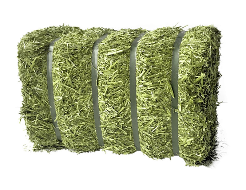 Luzerne BIO für Geflügel 1 Palette = 56 Ballen