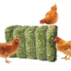 Alternative view of Luzerne BIO für Geflügel 1 Palette = 56 Ballen