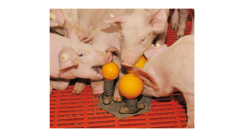 Wühlkegel für Ferkel