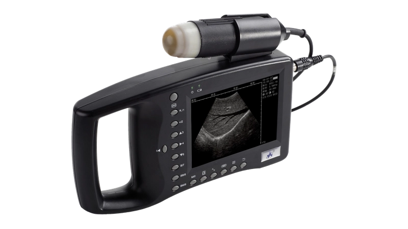 Pigscan - Trächtigkeitsdiagnostik