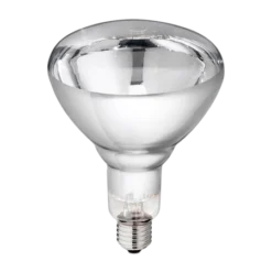 Alternative view of Birnen Infrarot Hartglas PHILIPS