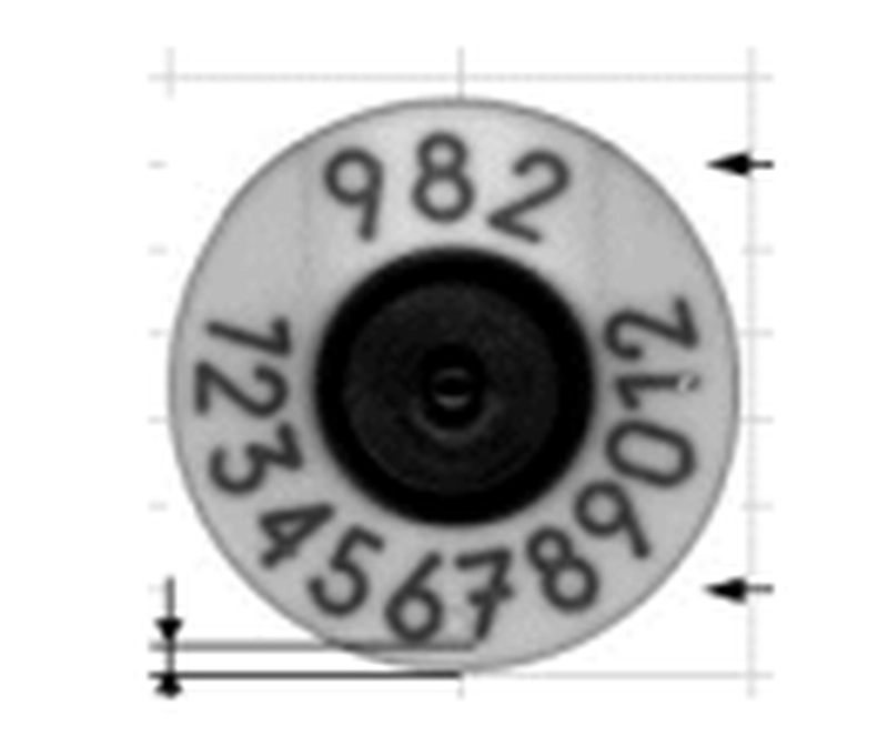 Ohrmarken Allflex – Bild 3