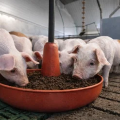 Alternative view of Wühltorf   50 ltr. Sack