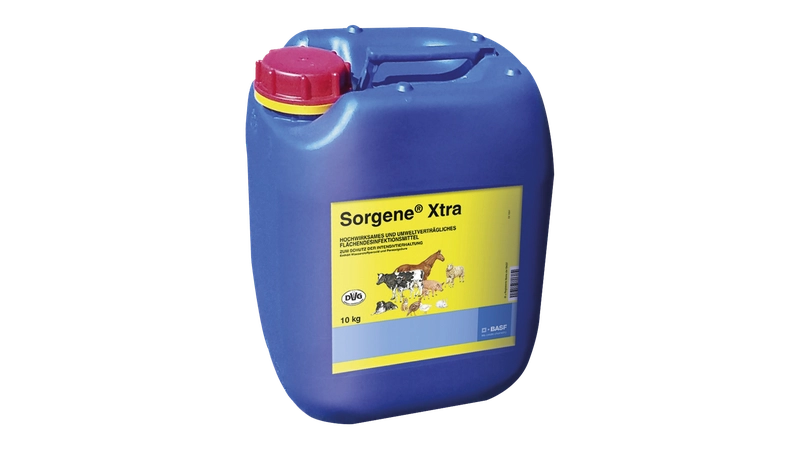 Sorgene Xtra - 10 kg Gebinde