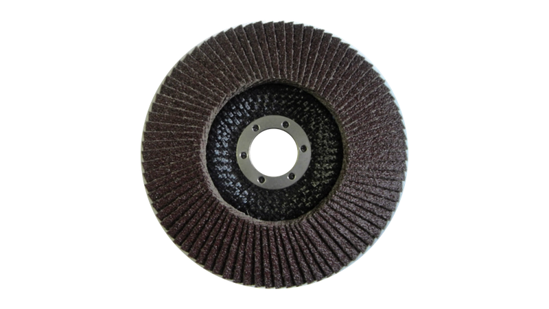 Fächerschleifscheibe