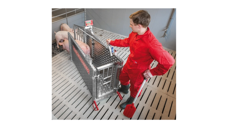 Waage für Einzeltiere