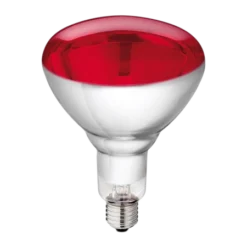 Birnen Infrarot Hartglas PHILIPS