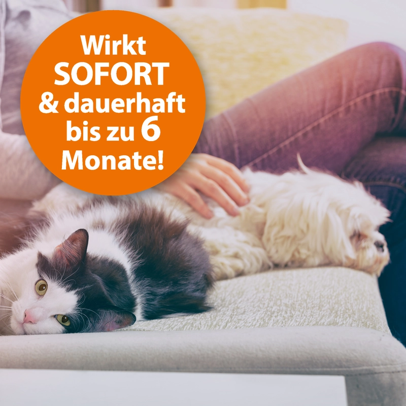 Ardap Langzeit-Flohspray 400 ml – Bild 4